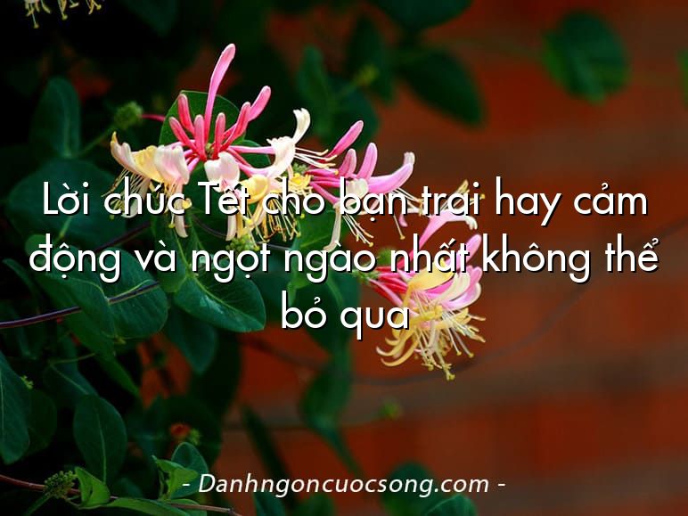 Lời chúc Tết cho bạn trai hay cảm động và ngọt ngào nhất không thể bỏ qua