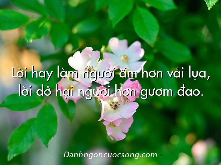 Lời hay làm người ấm hơn vải lụa, lời dở hại người hơn gươm đao.