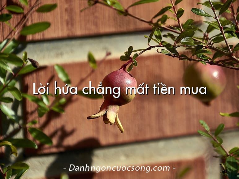 Lời hứa chẳng mất tiền mua