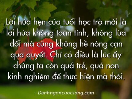 Lời hứa hẹn của tuổi học trò mới là lời hứa không toan tính, không lừa dối mà cũng không hề nông cạn qua quyết. Chỉ có điều là lúc ấy chúng ta còn quá trẻ, quá non kinh nghiệm để thực hiện mà thôi.