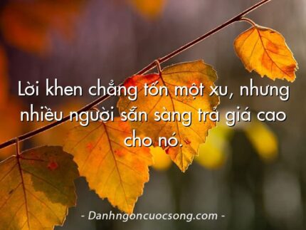 Lời khen chẳng tốn một xu, nhưng nhiều người sẵn sàng trả giá cao cho nó.