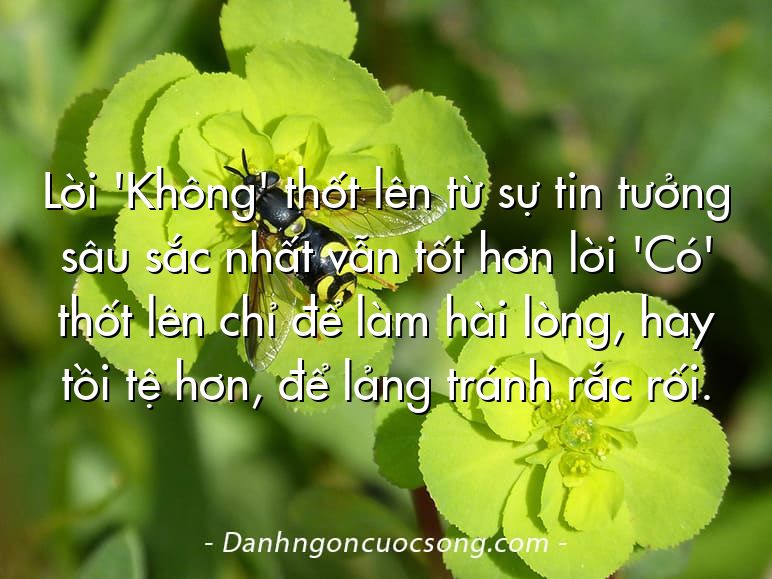 Lời 'Không' thốt lên từ sự tin tưởng sâu sắc nhất vẫn tốt hơn lời 'Có' thốt lên chỉ để làm hài lòng, hay tồi tệ hơn, để lảng tránh rắc rối.