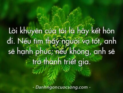 Lời khuyên của tôi là hãy kết hôn đi. Nếu tìm thấy người vợ tốt, anh sẽ hạnh phúc; nếu không, anh sẽ trở thành triết gia.