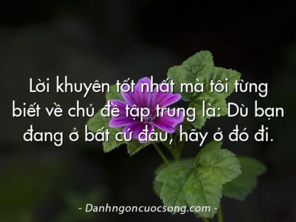 Lời khuyên tốt nhất mà tôi từng biết về chủ đề tập trung là: Dù bạn đang ở bất cứ đâu, hãy ở đó đi.