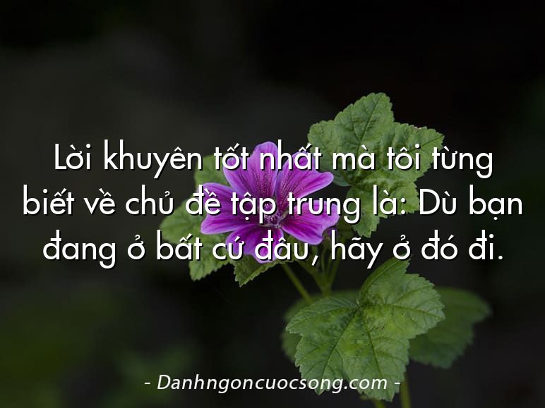 Lời khuyên tốt nhất mà tôi từng biết về chủ đề tập trung là: Dù bạn đang ở bất cứ đâu, hãy ở đó đi.