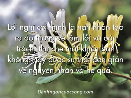 Lối nghĩ coi mình là nạn nhân tạo ra ảo tưởng về lầm lỗi và oán trách, thứ che mắt khiến bạn không thấy được sự thật đơn giản về nguyên nhân và hệ quả.