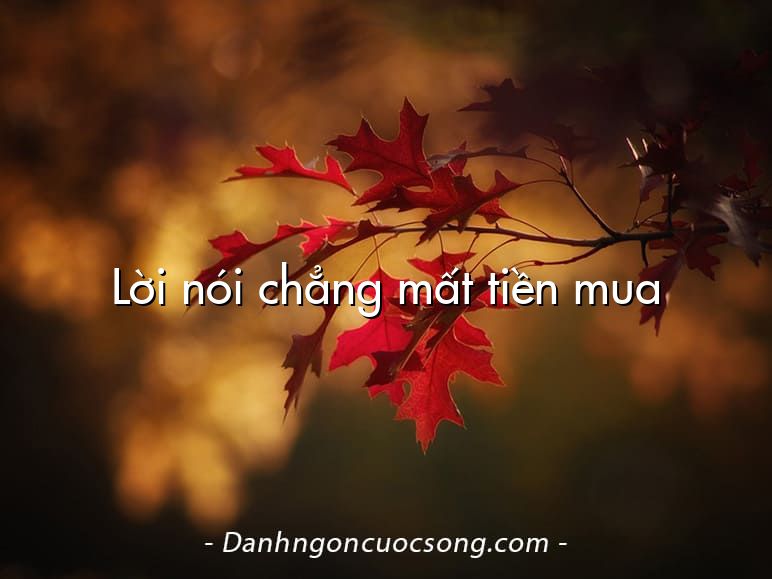 Lời nói chẳng mất tiền mua