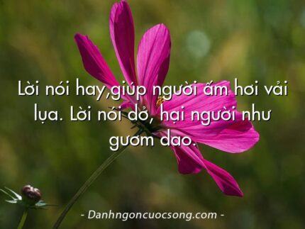 Lời nói hay,giúp người ấm hơi vải lụa. Lời nói dở, hại người như gươm dao.
