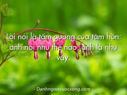 Lời nói là tấm gương của tâm hồn: anh nói như thế nào, anh là như vậy.
