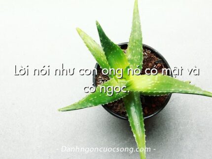 Lời nói như con ong nó có mật và có ngọc.