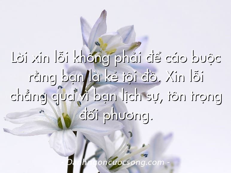 Lời xin lỗi không phải để cáo buộc rằng bạn là kẻ tội đồ. Xin lỗi chẳng qua vì bạn lịch sự, tôn trọng đối phương.