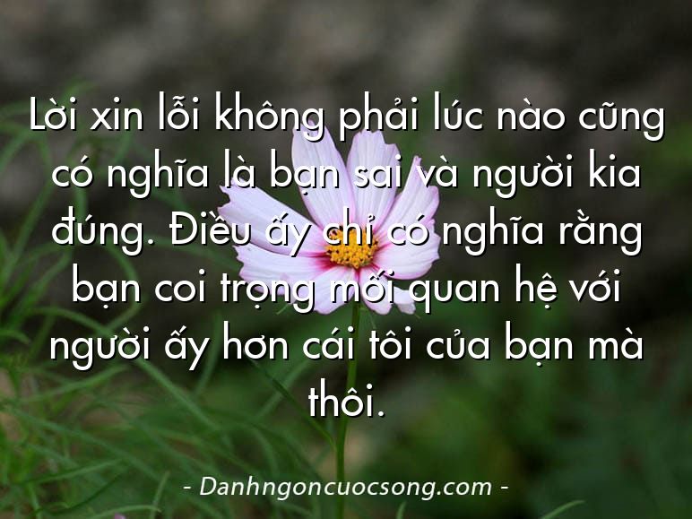 Lời xin lỗi không phải lúc nào cũng có nghĩa là bạn sai và người kia đúng. Điều ấy chỉ có nghĩa rằng bạn coi trọng mối quan hệ với người ấy hơn cái tôi của bạn mà thôi.