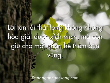 Lời xin lỗi thật lòng không những hòa giải được xích mích, mà còn giữ cho mối quan hệ thêm bền vững.