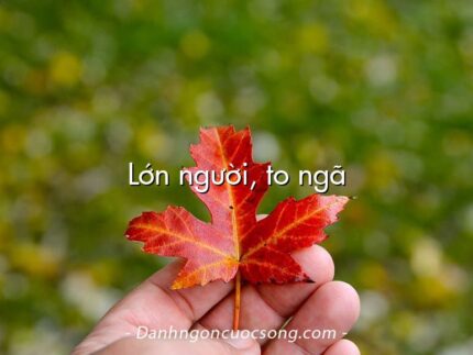 Lớn người, to ngã