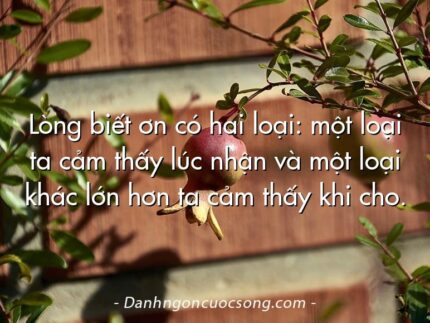Lòng biết ơn có hai loại: một loại ta cảm thấy lúc nhận và một loại khác lớn hơn ta cảm thấy khi cho.