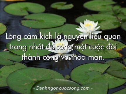 Lòng cảm kích là nguyên liệu quan trọng nhất để sống một cuộc đời thành công và thỏa mãn.