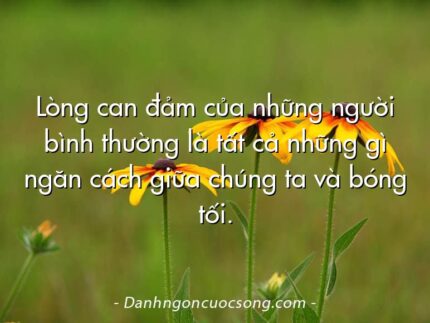 Lòng can đảm của những người bình thường là tất cả những gì ngăn cách giữa chúng ta và bóng tối.