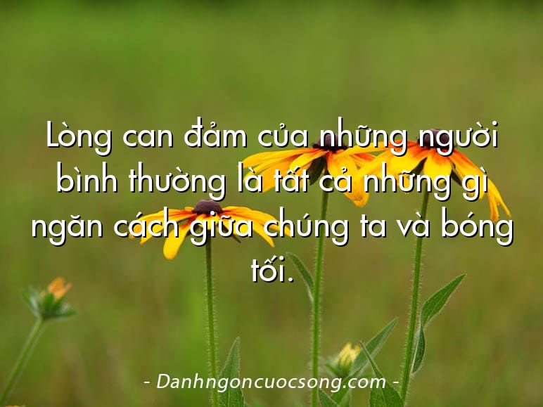 Lòng can đảm của những người bình thường là tất cả những gì ngăn cách giữa chúng ta và bóng tối.