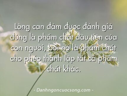 Lòng can đảm được đánh giá đúng là phẩm chất đầu tiên của con người, bởi nó là phẩm chất cho phép thành lập tất cả phẩm chất khác.