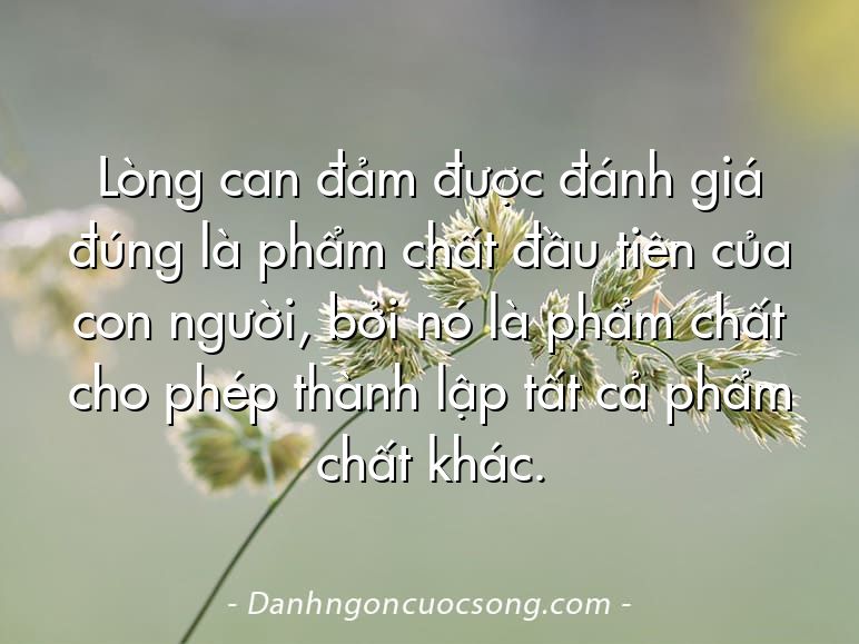 Lòng can đảm được đánh giá đúng là phẩm chất đầu tiên của con người, bởi nó là phẩm chất cho phép thành lập tất cả phẩm chất khác.