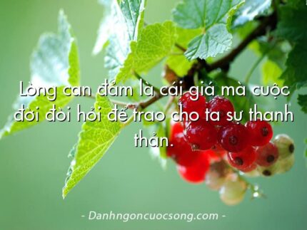 Lòng can đảm là cái giá mà cuộc đời đòi hỏi để trao cho ta sự thanh thản.