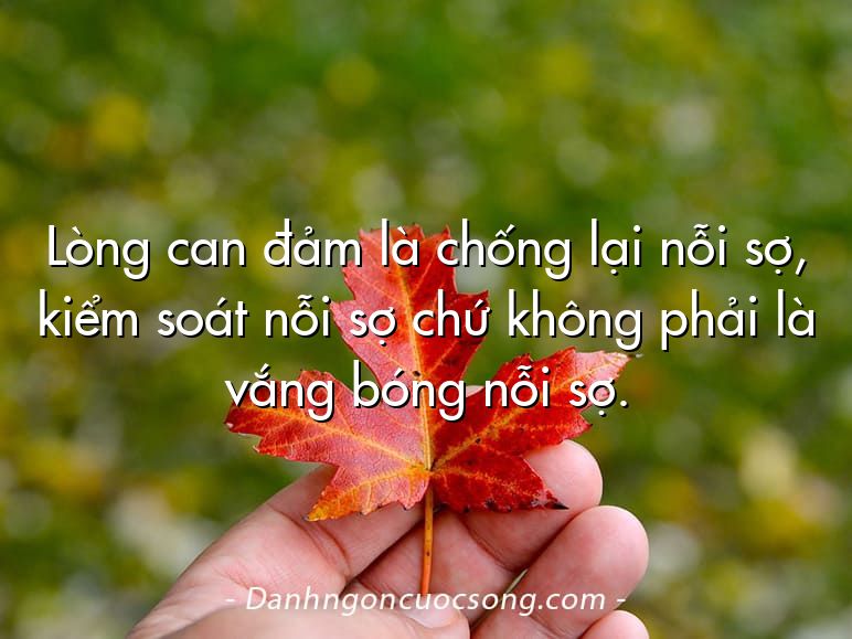 Lòng can đảm là chống lại nỗi sợ, kiểm soát nỗi sợ chứ không phải là vắng bóng nỗi sợ.