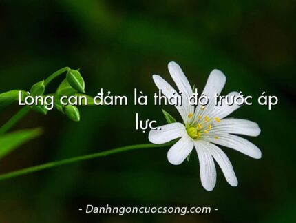 Lòng can đảm là thái độ trước áp lực.