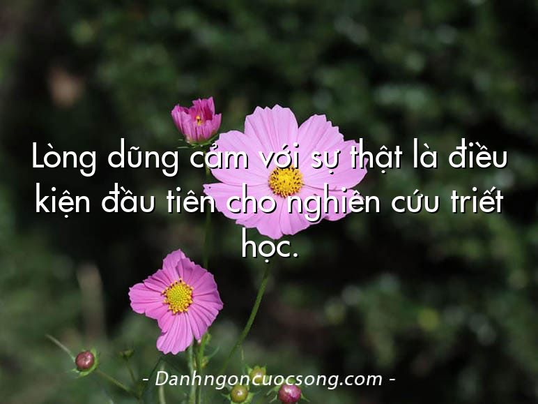 Lòng dũng cảm với sự thật là điều kiện đầu tiên cho nghiên cứu triết học.