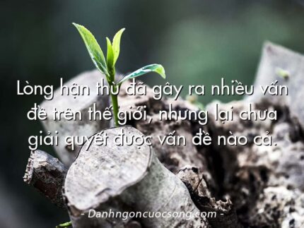 Lòng hận thù đã gây ra nhiều vấn đề trên thế giới, nhưng lại chưa giải quyết được vấn đề nào cả.