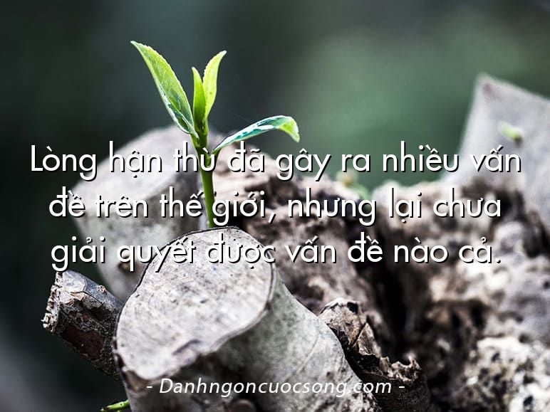 Lòng hận thù đã gây ra nhiều vấn đề trên thế giới, nhưng lại chưa giải quyết được vấn đề nào cả.
