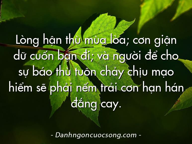 Lòng hận thù mùa lòa; cơn giận dữ cuốn bạn đi; và người để cho sự báo thù tuôn chảy chịu mạo hiểm sẽ phải nếm trải cơn hạn hán đắng cay.