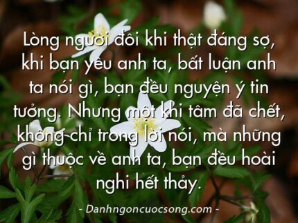 Lòng người đôi khi thật đáng sợ, khi bạn yêu anh ta, bất luận anh ta nói gì, bạn đều nguyện ý tin tưởng. Nhưng một khi tâm đã chết, không chỉ trong lời nói, mà những gì thuộc về anh ta, bạn đều hoài nghi hết thảy.