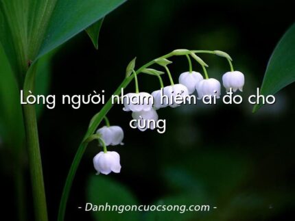 Lòng người nham hiểm ai đo cho cùng