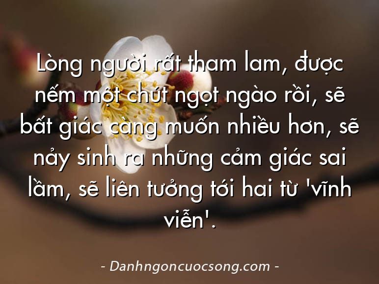 Lòng người rất tham lam, được nếm một chút ngọt ngào rồi, sẽ bất giác càng muốn nhiều hơn, sẽ nảy sinh ra những cảm giác sai lầm, sẽ liên tưởng tới hai từ 'vĩnh viễn'.
