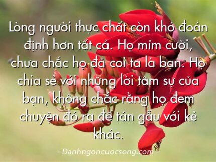 Lòng người thực chất còn khó đoán định hơn tất cả. Họ mỉm cười, chưa chắc họ đã coi ta là bạn. Họ chia sẻ với những lời tâm sự của bạn, không chắc rằng họ đem chuyện đó ra để tán gẫu với kẻ khác.