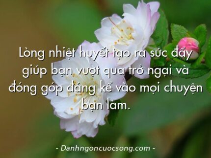 Lòng nhiệt huyết tạo ra sức đẩy giúp bạn vượt qua trở ngại và đóng góp đáng kể vào mọi chuyện bạn làm.