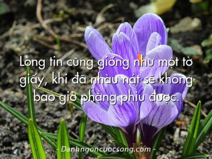 Lòng tin cũng giống như một tờ giấy, khi đã nhàu nát sẽ không bao giờ phẳng phiu được.