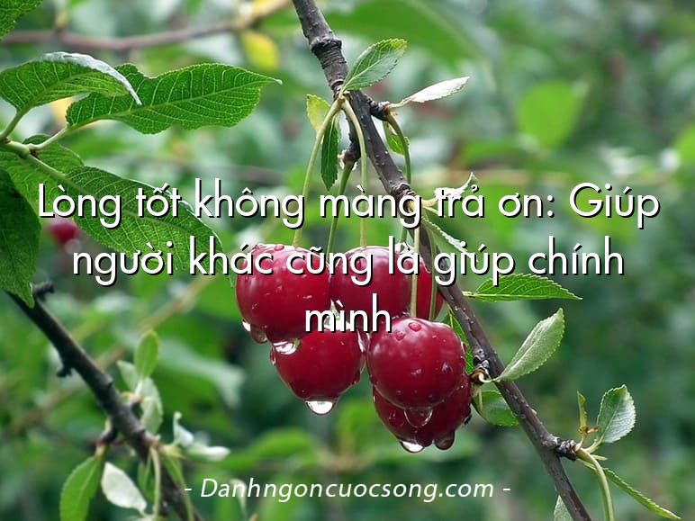 Lòng tốt không màng trả ơn: Giúp người khác cũng là giúp chính mình
