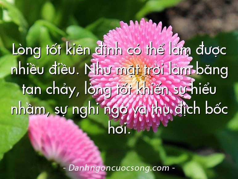 Lòng tốt kiên định có thể làm được nhiều điều. Như mặt trời làm băng tan chảy, lòng tốt khiến sự hiểu nhầm, sự nghi ngờ và thù địch bốc hơi.
