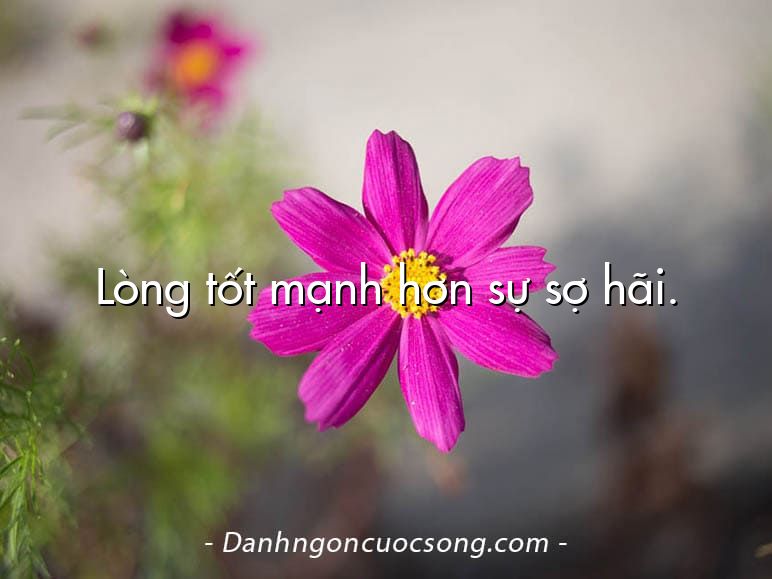 Lòng tốt mạnh hơn sự sợ hãi.
