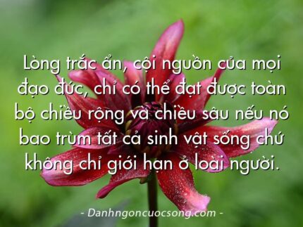 Lòng trắc ẩn, cội nguồn của mọi đạo đức, chỉ có thể đạt được toàn bộ chiều rộng và chiều sâu nếu nó bao trùm tất cả sinh vật sống chứ không chỉ giới hạn ở loài người.