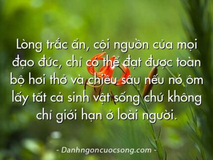 Lòng trắc ẩn, cội nguồn của mọi đạo đức, chỉ có thể đạt được toàn bộ hơi thở và chiều sâu nếu nó ôm lấy tất cả sinh vật sống chứ không chỉ giới hạn ở loài người.