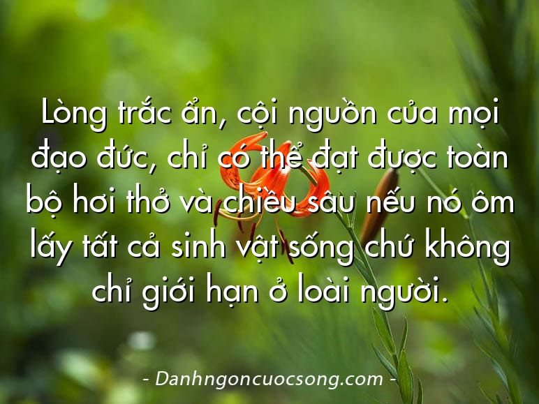 Lòng trắc ẩn, cội nguồn của mọi đạo đức, chỉ có thể đạt được toàn bộ hơi thở và chiều sâu nếu nó ôm lấy tất cả sinh vật sống chứ không chỉ giới hạn ở loài người.