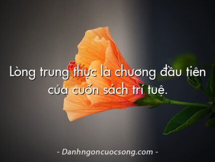 Lòng trung thực là chương đầu tiên của cuốn sách trí tuệ.