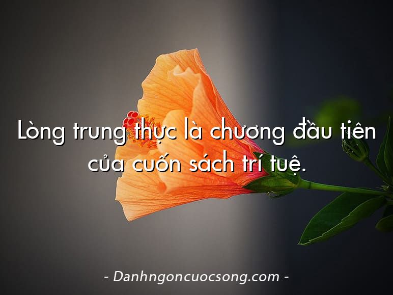Lòng trung thực là chương đầu tiên của cuốn sách trí tuệ.