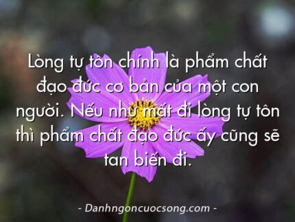 Lòng tự tôn chính là phẩm chất đạo đức cơ bản của một con người. Nếu như mất đi lòng tự tôn thì phẩm chất đạo đức ấy cũng sẽ tan biến đi.