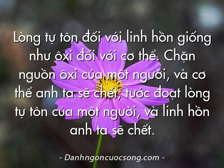 Lòng tự tôn đối với linh hồn giống như ôxi đối với cơ thể. Chặn nguồn ôxi của một người, và cơ thể anh ta sẽ chết; tước đoạt lòng tự tôn của một người, và linh hồn anh ta sẽ chết.