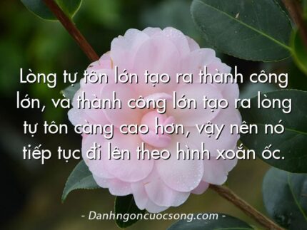 Lòng tự tôn lớn tạo ra thành công lớn, và thành công lớn tạo ra lòng tự tôn càng cao hơn, vậy nên nó tiếp tục đi lên theo hình xoắn ốc.