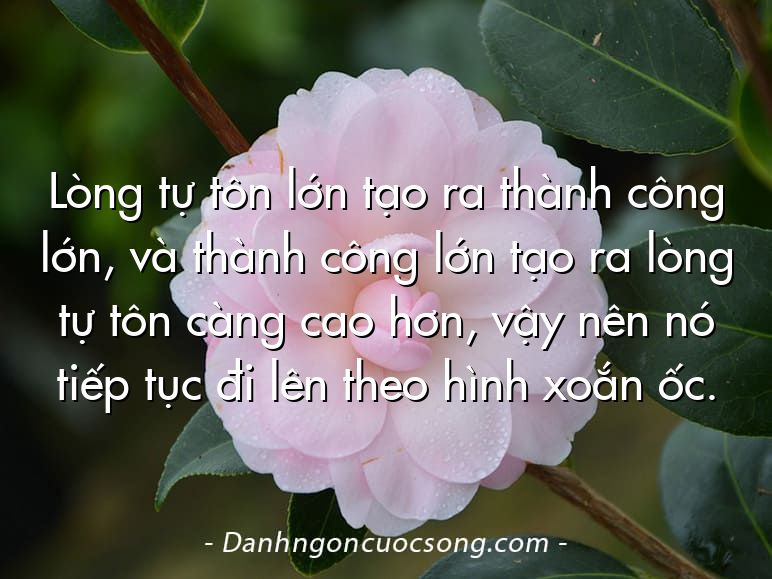 Lòng tự tôn lớn tạo ra thành công lớn, và thành công lớn tạo ra lòng tự tôn càng cao hơn, vậy nên nó tiếp tục đi lên theo hình xoắn ốc.