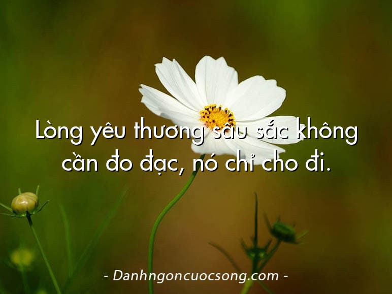 Lòng yêu thương sâu sắc không cần đo đạc, nó chỉ cho đi.